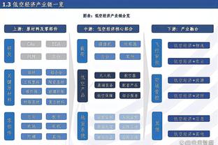 内维尔：霍伊伦是一枚待打磨的钻石，他和努涅斯一样缺乏冷静